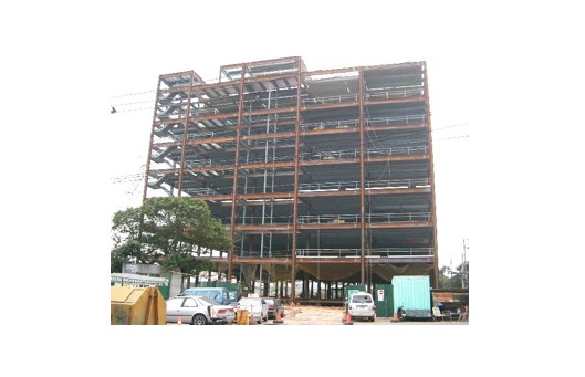 厚生南崁廠E-F棟鋼骨工程