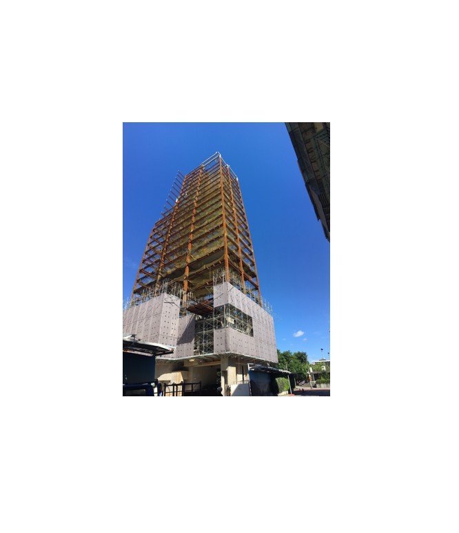 大師開發信義區福德段集合住宅新建工程